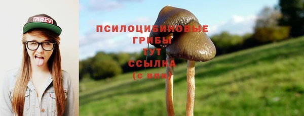 сатива Абаза