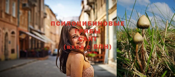 марки nbome Алексеевка