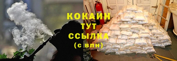 сатива Абаза