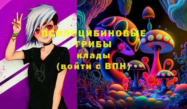 ГАЛЛЮЦИНОГЕННЫЕ ГРИБЫ Алексин