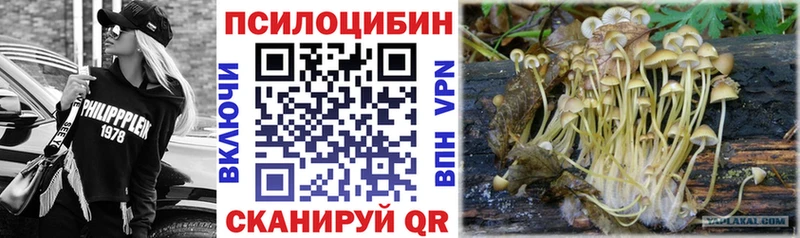 Галлюциногенные грибы прущие грибы  Уфа 